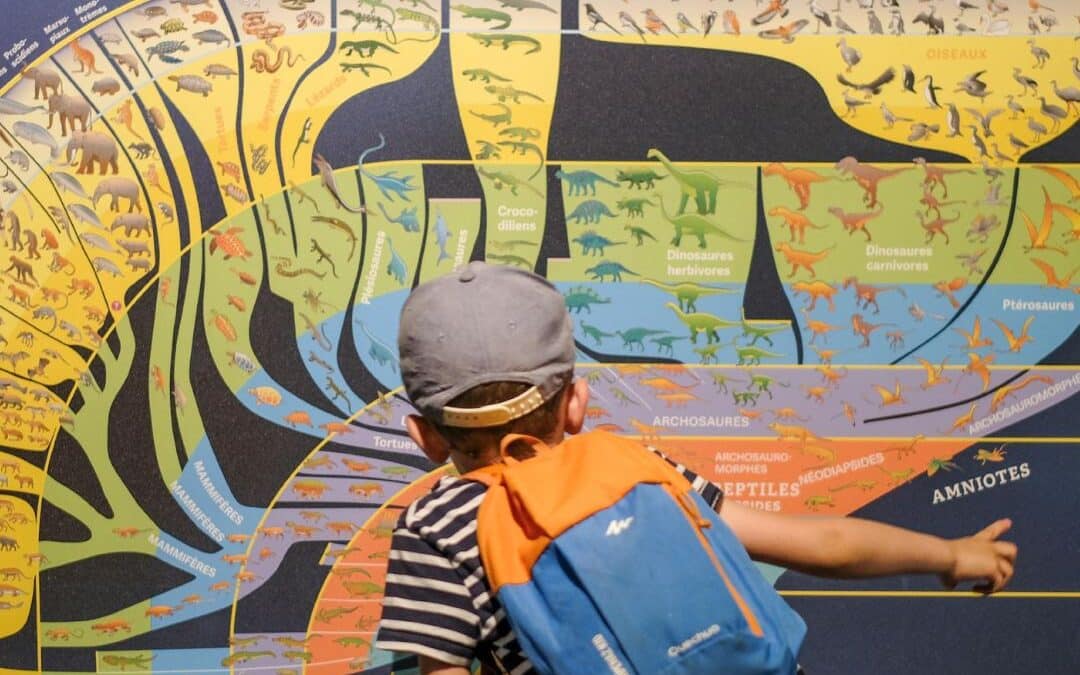 Jeu de piste « Les détectives »