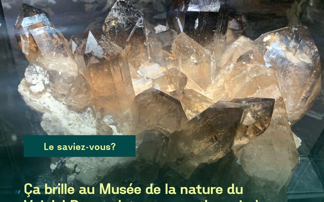Le saviez-vous?
