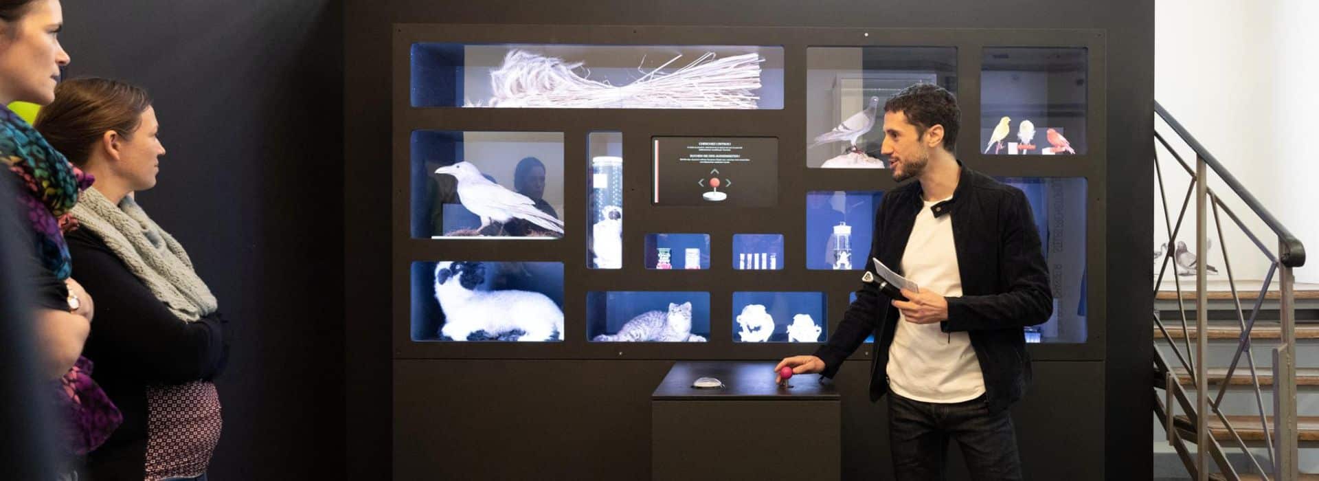 Artificiel © Musées cantonaux du Valais, Sion. Photo Olivier Maire