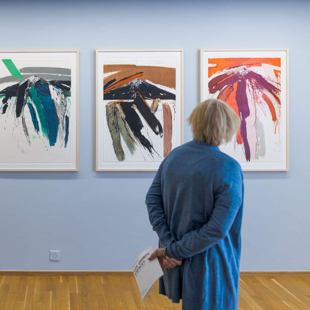 Guide à la visite © Musées cantonaux du Valais, Sion. Olivier Lovey