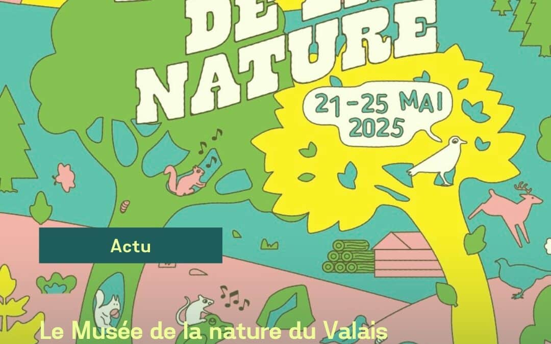 Actu