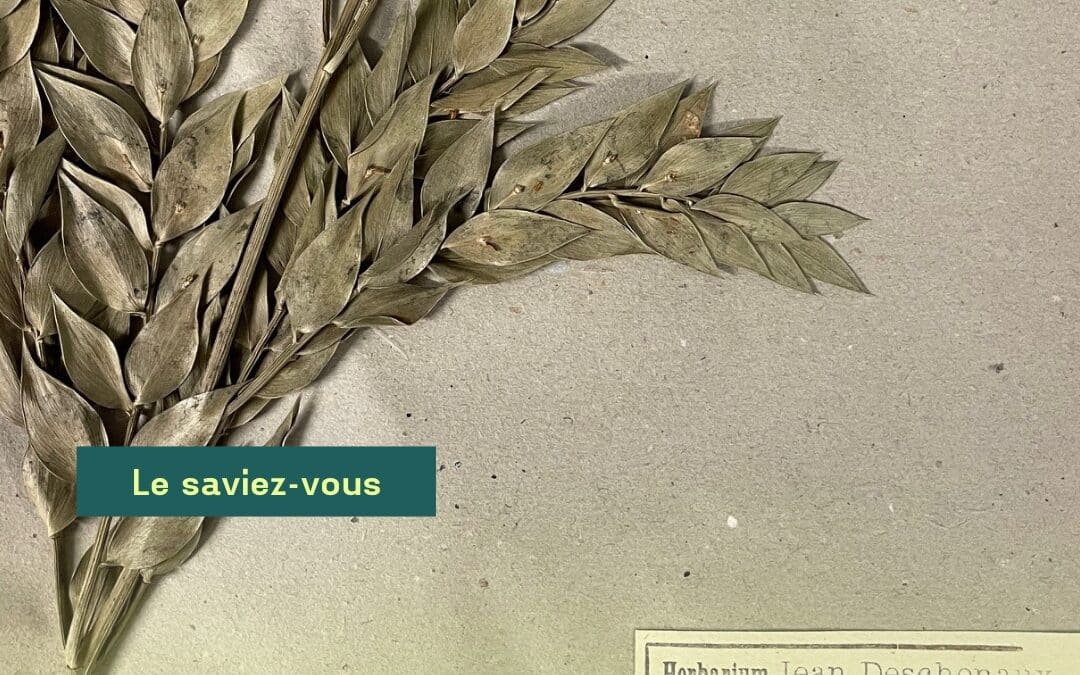 Le saviez-vous?