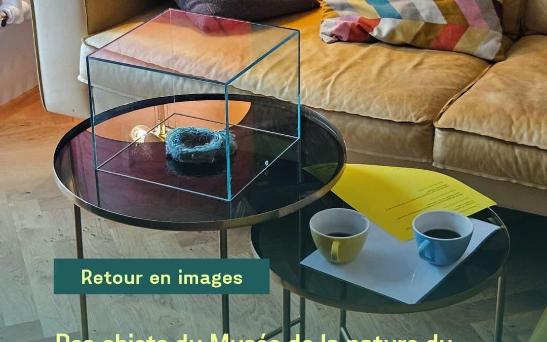 Retour en images
