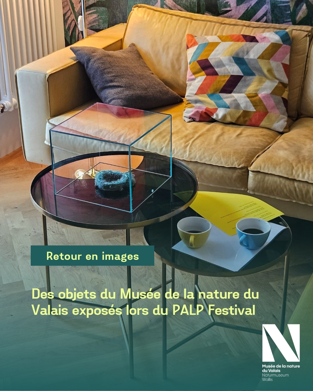 Le Musée de la nature du Valais a eu le plaisir de participer à Beauty & Room lors de l'édition 2025 du @palp_festival ! Une sélection d'objets étonnants, combinant éléments naturels et artificiels à l'ère de l'Anthropocène, issus des collections du musée ont été exposés le temps d'une après-midi chez les habitants de la vieille ville de Sion. Un grand merci aux habitants pour leur participation ! 👉 Pour en savoir plus sur l'Anthropocène, rendez-vous au Musée de la nature du Valais. #museescantonauxduvalais #museedelanatureduvalais #museesvalais #palpfestival 📷 1 / Nid de phragmite des joncs (Acrocephalus schoenobaenus), en grande partie constitué de fibres plastiques 2 / Massacre de chevreuil (Capreolus capreolus), avec bois enlacés de fils de clôture type "Flexinet" 3 / Tomates transgéniques (dans bloc d’acrylique)